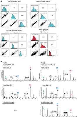 Storage Protein-Mediated Translation Control Links Juvenile Diet to Longevity in Drosophila
