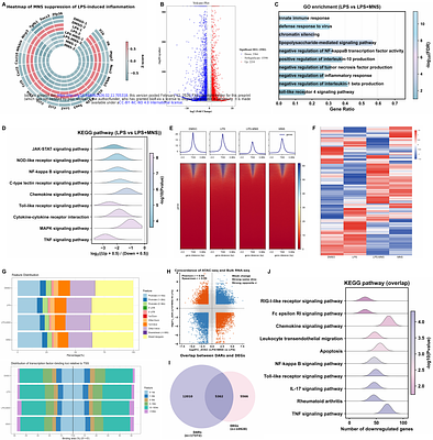 MNS induces antiviral protection and suppresses inflammation