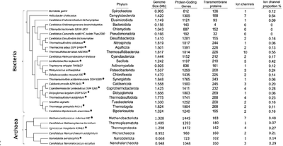 Mechanosensitive channels dominate the minimal ion channelrepertoire in prokaryotes