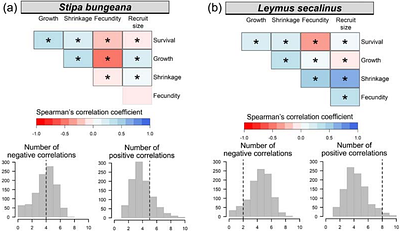 Divergent demographic strategies drive population dynamics of temperate plants across varying deposition