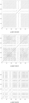 Dynamically derived morphology from the recurrence patterns of close
  binary stars using Kepler data