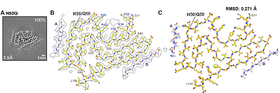Dimerisation and twist reversal of the Lewy fold in α-synuclein mutants with Parkinson's disease and dementia