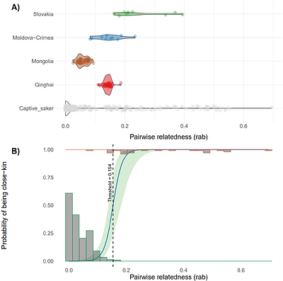 A framework for integrating genomic profiles into captive breeding and reinforcement programmes: A case study on captive saker falcons