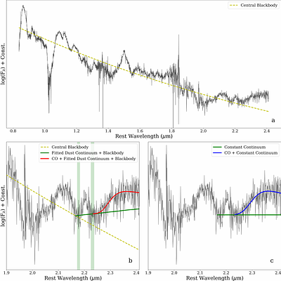 Near-Infrared and Optical Observations of SN 2024rbc: The First Early Detection of CO and Dust in a Type Ib Supernova