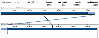 Nanopore-Based Whole-Genome Sequencing Reveals a Bioluminescent and Non-Bioluminescent Bacterium Isolated from the Squid Loligo forbesi in the Red Sea.