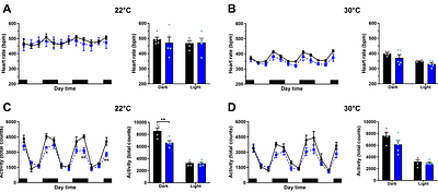Partial resistance to thyroid hormone-induced tachycardia and cardiac hypertrophy in mice lacking thyroid hormone receptor beta
