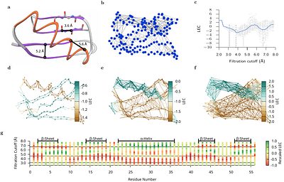 Discovering Secondary Protein Structures via Local Euler Curvature