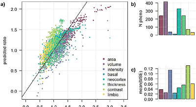 Empowering multitrait brain phenotypes GWAS