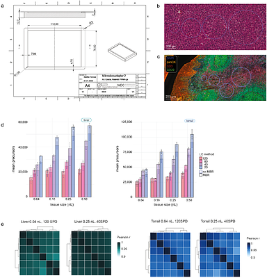 An ultrasensitive spatial tissue proteomics workflow exceeding 100 proteomes per day