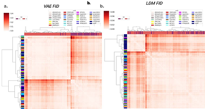 A conditional generative model to disentangle morphological variation from batch effects in model organism imaging studies