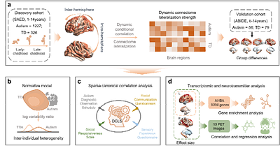 Connectome lateralization in autism across the first 14 years: heterogeneity related to developmental stage, hemisphere, and pathophysiology
