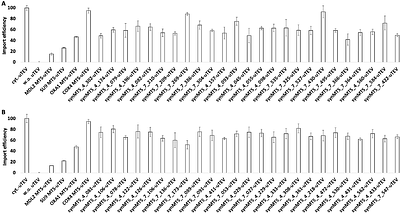 TargetMITO: A rule-based model for generating highly functional synthetic mitochondrial targeting sequence in yeast