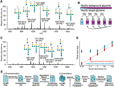Development of a Matrix-Matched Calibration Curve for Multi-Site Quantification of Neu5Gc-Bearing N-Glycans