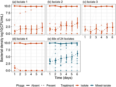 Predicting clinical phage therapy outcomes in vitro: results using mixed versus single isolates from an MRSA case study