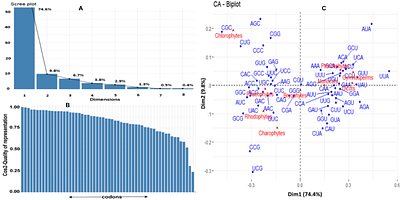 Comprehensive Codon Usage Analysis Across Diverse Plant Lineages