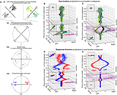 Recycling of prefrontal subspaces dynamically multiplexes information