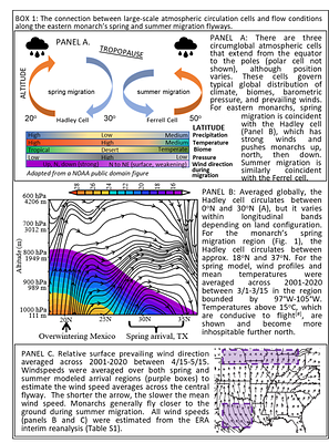 Large-scale atmospheric circulation cells regulate migratory dynamics of the iconic monarch butterfly