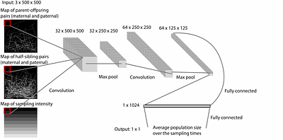 Simulation-based spatially explicit close-kin mark-recapture