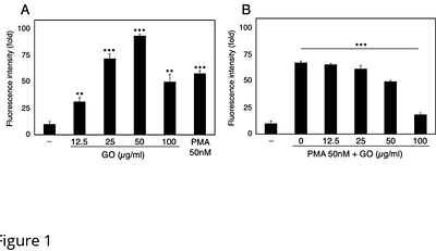 Evaluation of graphene oxide-mediated NET formation using HL-60-derived neutrophil-like cells