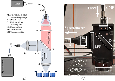Simultaneous Denoising and Baseline Correction of Microplate Raman Spectra Using a Dual-Branch U-Net