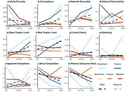 No global collapse of food webs across the Permian-Triassic Mass Extinction