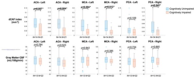 SNAP MRI Reveals Association Between Distal Cerebral Arterial Flow and Cognitive Function in an Aging Population