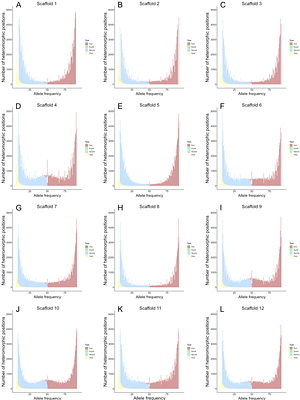 Single nucleotide polymorphisms and structural variants reveal complex and variable ploidy in the amoebozoan Acanthamoeba castellanii