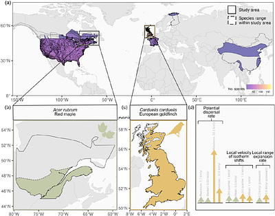 Dispersal rate limits range expansion rate only when it is slower than climate velocity