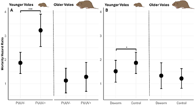 Age-dependent effects of infection on survival of a wild rodent reservoir host