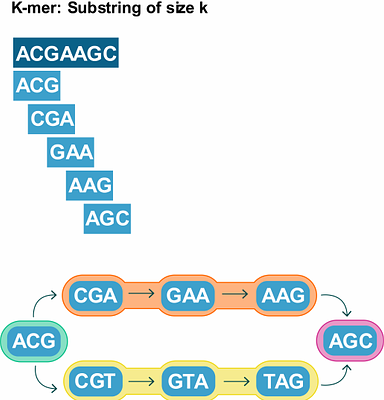 DIANA: Deep Learning Identification and Assessment of Ancient DNA