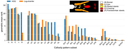 Semi-automated identification of southern right whales from drone imagery by classical image matching methods