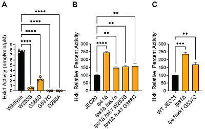 Trehalose-6-phosphate synthase promotes thermotolerance by governing glycolytic flux in Cryptococcus deneoformans