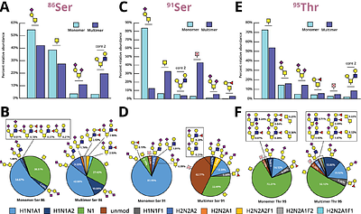 Site-specific O-glycans influence lacritin structure and multimerization in tears