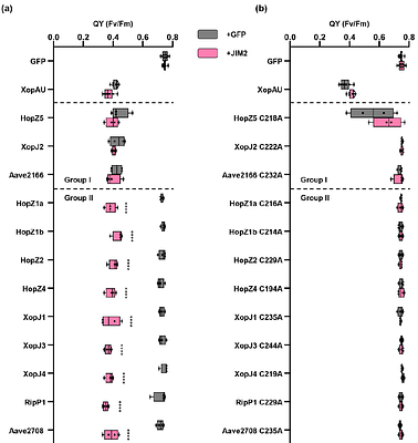 The recognition of YopJ family effectors depends on ZAR1/JIM2 immune complex in Nicotiana benthamiana.