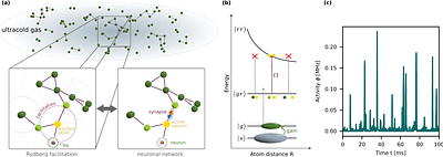 Simulating neural network criticality and resource dynamics with Rydberg gases