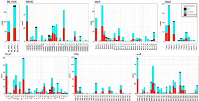 Machine Learning-Driven Identification of Virulence Determinants in Borrelia burgdorferi Associated with Human Dissemination