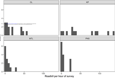 Unveiling patterns of roadkill of a migratory amphibian in Hong Kong with implications for mitigation