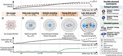 The MAGE Project: Size Evolution and Disk Formation in Massive Galaxies at Cosmic Dawn