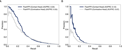 Linear-time prediction of proteome-scale microbial protein interactions