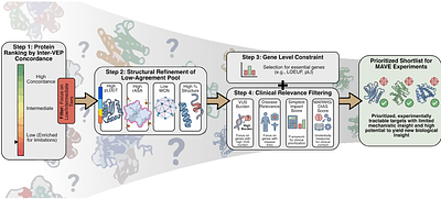 Disagreement among variant effect predictors guides experimental prioritization of target proteins