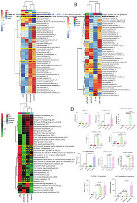 Chenodeoxycholic Acid Modulation via Bacteroides intestinalis AM1 underscores a Novel Approach in Acute Liver Failure