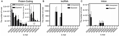 Nanopore Direct RNA Sequencing Reveals Virus-Induced Changes in the Transcriptional Landscape in Human Bronchial Epithelial Cells