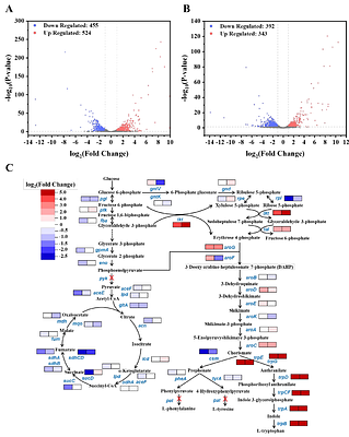 Transcriptome and metabolome analyses reveal novel genetic targets for L-tryptophan overproduction in Corynebacterium glutamicum