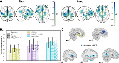 Intertemporal choice across short and long time horizons: an fMRI study