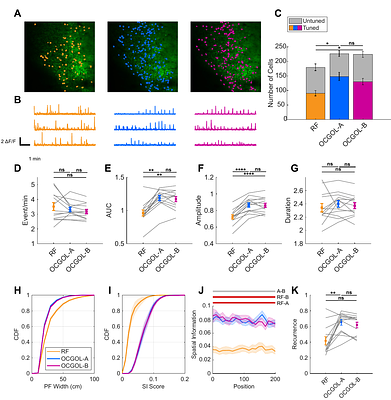 Lateral entorhinal cortex supports behaviorally-induced hippocampal ensemble stability for reliable memory recall