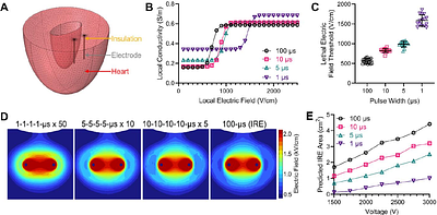 Bioimpedance-assisted characterization of cardiac electroporation and anisotropic homogenization by pulsed field ablation