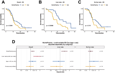 Hepatobiliary Progenitor-like Reprogramming in Liver Metastases