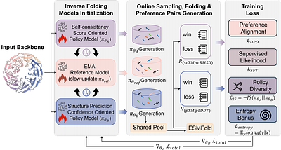 Symmetric Self-play Online Preference Optimization for Protein Inverse Folding