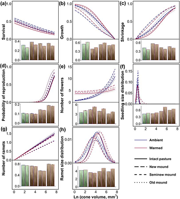 Clonal reproduction as a double-edged sword: antagonistic and synergistic effects on the warmed population maintenance of alpine species across successional stages of plateau zokor disturbance