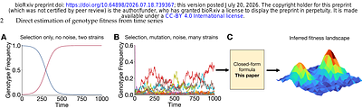 Direct estimation of genotype fitness from time series